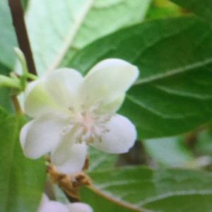 Meet your Posher, Marc